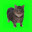 DrTanooki