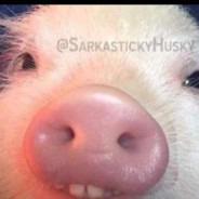 /S1mple/ fery_poľačko