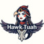 hawk tuah airlines