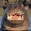 tippacodamus