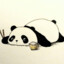 PandaHood