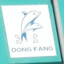 Dong Fang