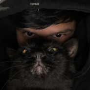 V H S Steam avatar