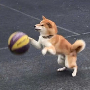 你们打B我去A骚扰