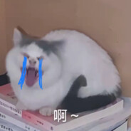 𓆡𓆝𓆟𓆜𓆞泡泡鱼