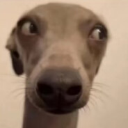 网恋露牛惨遭录屏