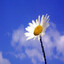 Positivity Spreader