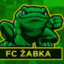 FC ŻABKA