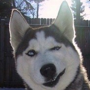 老司机无所畏惧