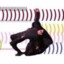 musresponse