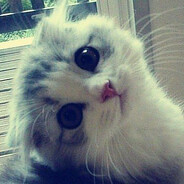 im not trynna ruin ur fun