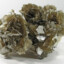 Muscovite