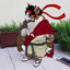 Cat Ryu