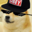 MLG_DoGE