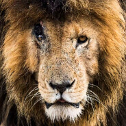 [野草]♛Scarface.♛