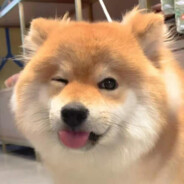 迪卡分局高见翔