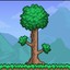 Terraria_Fds