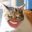 Meow