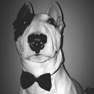 chz[t] - steam id 76561198114004797
