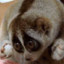 ImALilTeaPot224