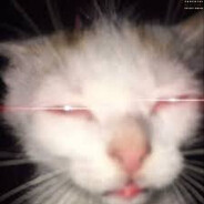 Habibi - steam id 76561198143146017