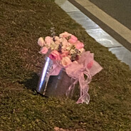 人间何曾有化蝶