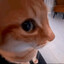 Avatar of player любимость