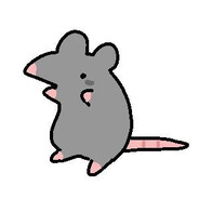 rat
