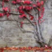Sazo - steam id 76561197964345647