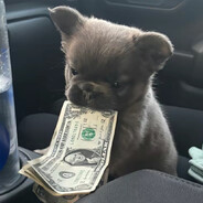 KalabTaTy - steam id 76561199051344047