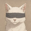 Hats_for_Cats