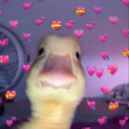 ッAudi Enjoyer<3ッ