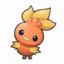 Torchic25