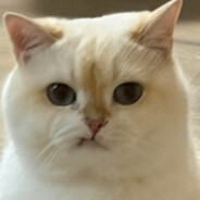 猛虎 Fierce Tiger