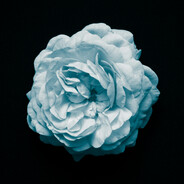 Tesseract