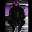 LonelyWolf