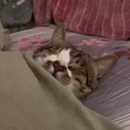 构式电脑该死一死了