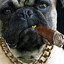 EL CHAPO