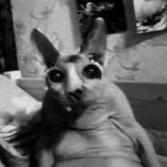 Якорь