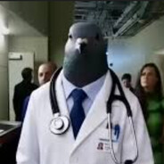 Dr. Pigeon