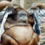 monkeyboy