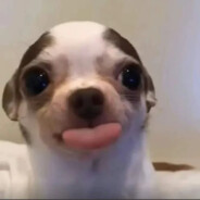 童脸狼·地狱把妹王