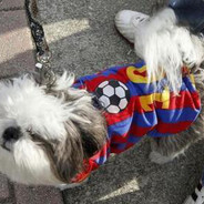 萨狗分队大队长