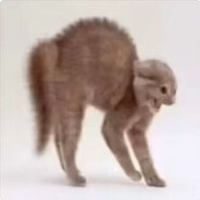 假如成为三天老蒯