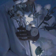 夜黎清