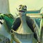 MASTER OOGWAY