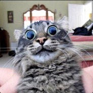 ҳ̸Ҳ̸ҳ”*Ke€N*”ҳ̸Ҳ̸