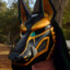 ANUBIS