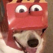 Mcperro