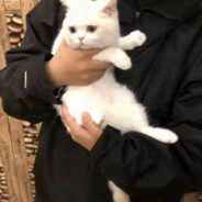 浮生如梦亦如烟